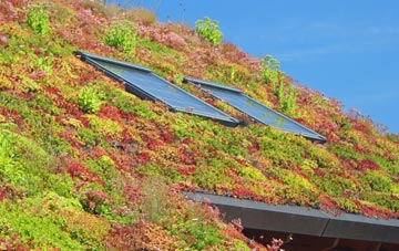 Stanton Street living roof systems